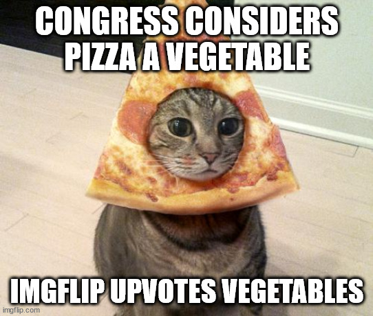 pizza is a vegetable | CONGRESS CONSIDERS PIZZA A VEGETABLE; IMGFLIP UPVOTES VEGETABLES | image tagged in pizza cat | made w/ Imgflip meme maker