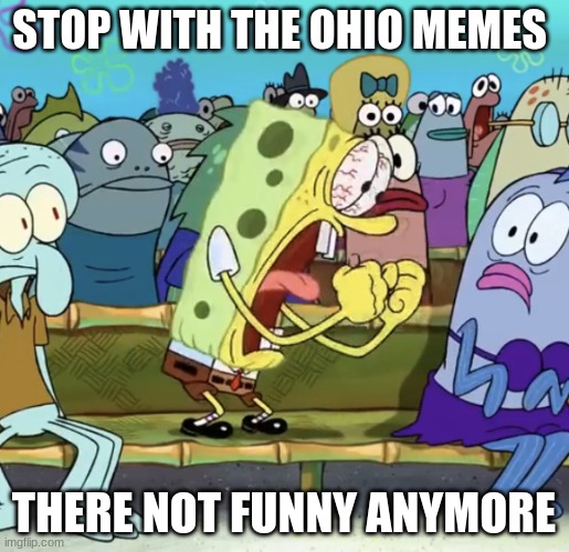 Spongebob Yelling | STOP WITH THE OHIO MEMES THERE NOT FUNNY ANYMORE | image tagged in spongebob yelling | made w/ Imgflip meme maker