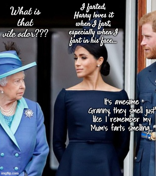 Ewww, what is that smell??? | I farted, Harry loves it when I fart, especially when I fart in his face... What is that vile odor??? It's awesome Granny, they smell just like I remember my Mum's farts smelling... | image tagged in vile,meghan markle,harry,qe ii,farts | made w/ Imgflip meme maker