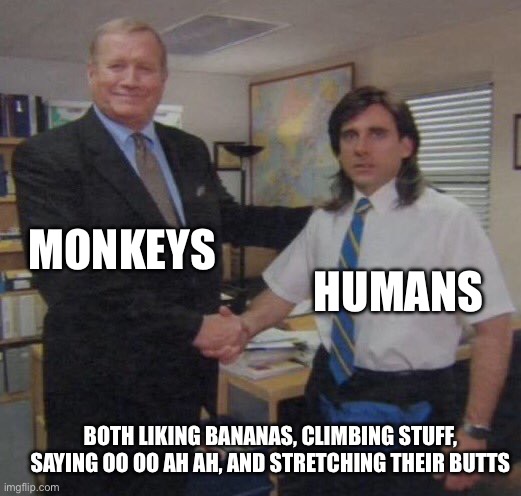 the office congratulations | MONKEYS; HUMANS; BOTH LIKING BANANAS, CLIMBING STUFF, SAYING OO OO AH AH, AND STRETCHING THEIR BUTTS | image tagged in the office congratulations | made w/ Imgflip meme maker