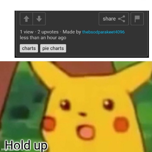 How is this possible | Hold up | image tagged in memes,surprised pikachu,hold up,hol up | made w/ Imgflip meme maker