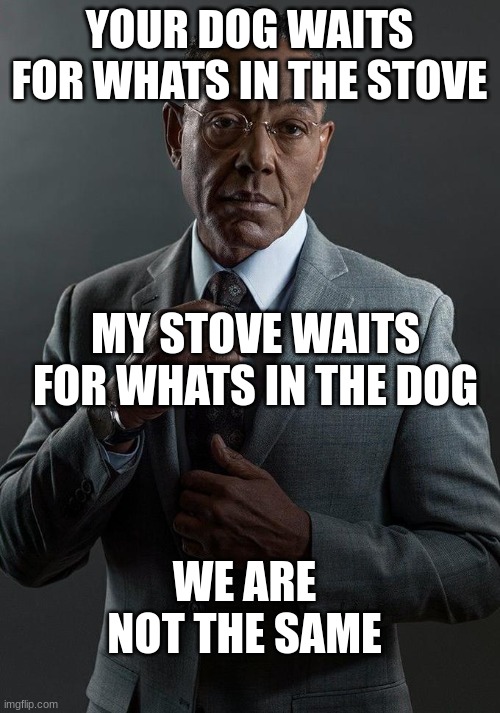 Giancarlo Esposito | YOUR DOG WAITS FOR WHATS IN THE STOVE MY STOVE WAITS FOR WHATS IN THE DOG WE ARE NOT THE SAME | image tagged in giancarlo esposito | made w/ Imgflip meme maker