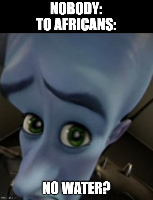 Megamind no bitches | NOBODY:
TO AFRICANS:; NO WATER? | image tagged in megamind no bitches | made w/ Imgflip meme maker