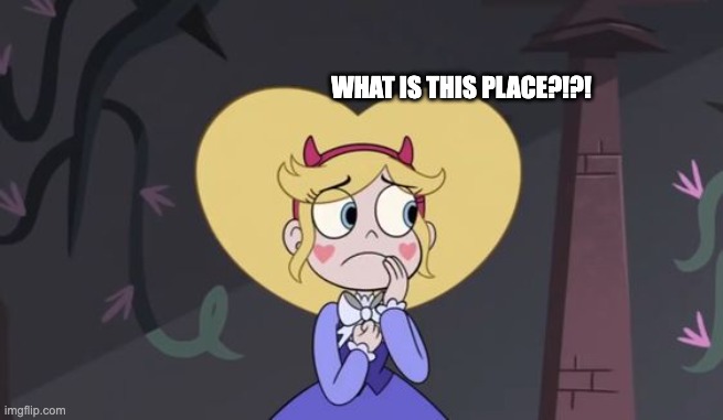 What is this Place?!?! | WHAT IS THIS PLACE?!?! | image tagged in star butterfly,what is this place,star vs the forces of evil,svtfoe,memes,funny | made w/ Imgflip meme maker