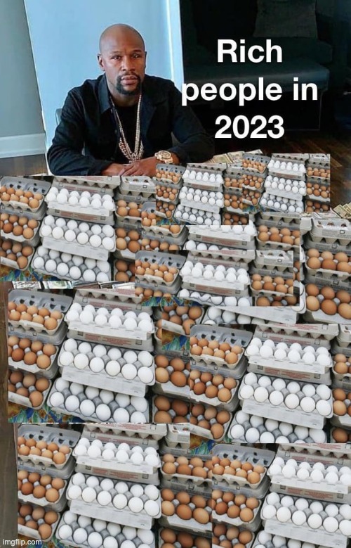 I have alot of eggs now. | image tagged in eggs,memes,rich,funny,repost,rich people | made w/ Imgflip meme maker