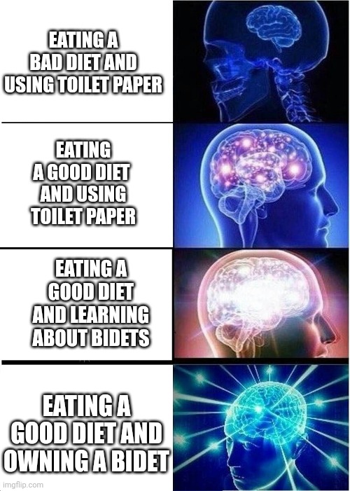 Healthy bidet user | EATING A BAD DIET AND USING TOILET PAPER; EATING A GOOD DIET 
AND USING TOILET PAPER; EATING A GOOD DIET AND LEARNING ABOUT BIDETS; EATING A GOOD DIET AND OWNING A BIDET | image tagged in memes,expanding brain | made w/ Imgflip meme maker