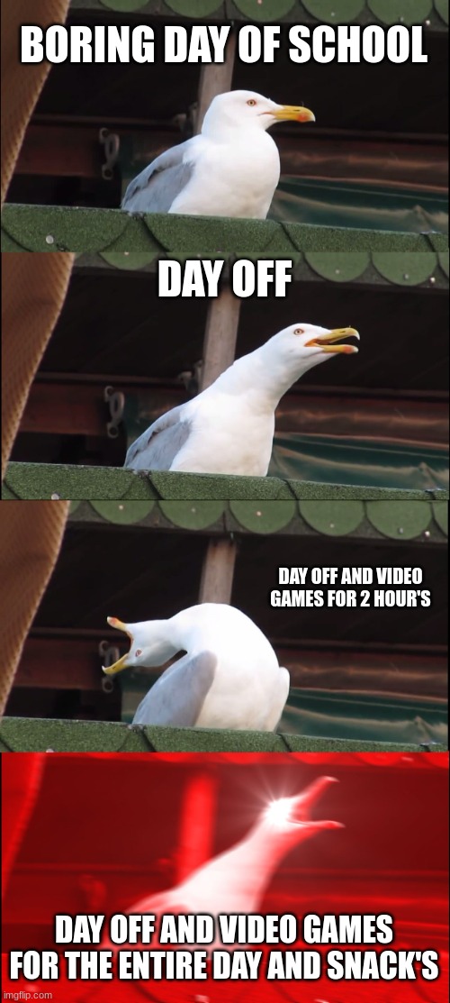 Inhaling Seagull | BORING DAY OF SCHOOL; DAY OFF; DAY OFF AND VIDEO GAMES FOR 2 HOUR'S; DAY OFF AND VIDEO GAMES FOR THE ENTIRE DAY AND SNACK'S | image tagged in memes,inhaling seagull | made w/ Imgflip meme maker