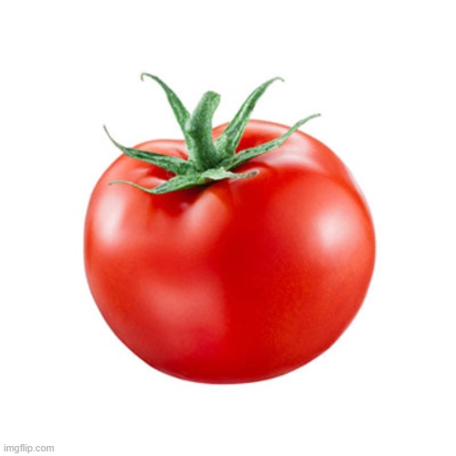 Tomato | image tagged in tomato,tomatoes,memes | made w/ Imgflip meme maker