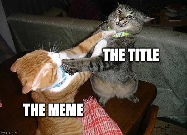 Two cats fighting for real | THE TITLE THE MEME | image tagged in two cats fighting for real | made w/ Imgflip meme maker