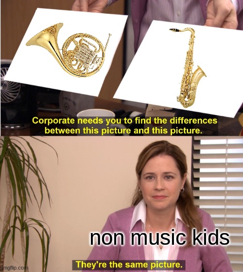 They're The Same Picture Meme | non music kids | image tagged in memes,they're the same picture | made w/ Imgflip meme maker