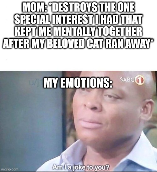 Happened to me, still scarred from it :P | MOM: *DESTROYS THE ONE SPECIAL INTEREST I HAD THAT KEPT ME MENTALLY TOGETHER AFTER MY BELOVED CAT RAN AWAY*; MY EMOTIONS: | image tagged in am i a joke to you,pain,hahaha | made w/ Imgflip meme maker