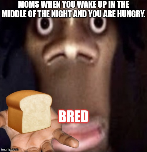 MOMS WHEN YOU WAKE UP IN THE MIDDLE OF THE NIGHT AND YOU ARE HUNGRY. BRED | made w/ Imgflip meme maker