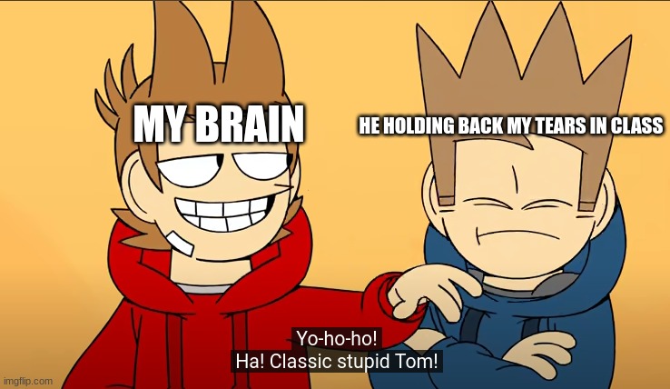 Just thought of this while watching part 1, felt stupid enough to | MY BRAIN; HE HOLDING BACK MY TEARS IN CLASS | image tagged in eddsworld,pain,nobody cares,yes | made w/ Imgflip meme maker