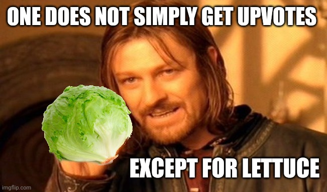 Why lettuce, WHY | ONE DOES NOT SIMPLY GET UPVOTES; EXCEPT FOR LETTUCE | image tagged in memes,one does not simply,lettuce | made w/ Imgflip meme maker