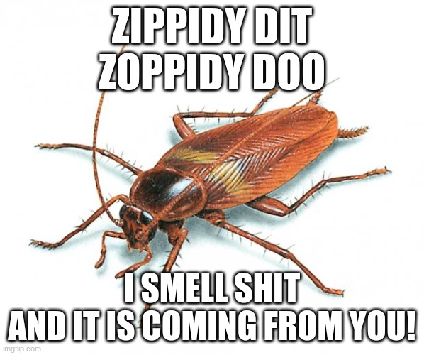 Cockroach smells sh*t | ZIPPIDY DIT
ZOPPIDY DOO; I SMELL SHIT
AND IT IS COMING FROM YOU! | image tagged in cockroach | made w/ Imgflip meme maker