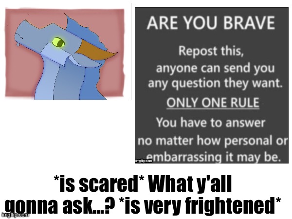 im scared yall | *is scared* What y'all gonna ask...? *is very frightened* | image tagged in ask me anything,art,wof,questions | made w/ Imgflip meme maker