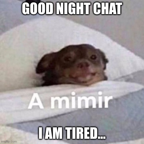 Insomnia is NOT getting me today! | GOOD NIGHT CHAT; I AM TIRED... | image tagged in mimir | made w/ Imgflip meme maker