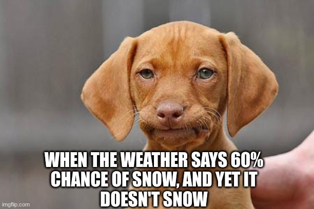 Pure dissapointment | WHEN THE WEATHER SAYS 60%
CHANCE OF SNOW, AND YET IT
DOESN'T SNOW | image tagged in dissapointed puppy | made w/ Imgflip meme maker