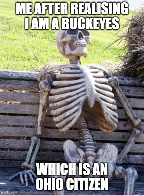 Waiting Skeleton | ME AFTER REALISING I AM A BUCKEYES; WHICH IS AN OHIO CITIZEN | image tagged in memes,waiting skeleton | made w/ Imgflip meme maker