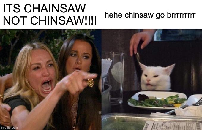 Chinsaw best | ITS CHAINSAW NOT CHINSAW!!!! hehe chinsaw go brrrrrrrrr | image tagged in memes,woman yelling at cat | made w/ Imgflip meme maker