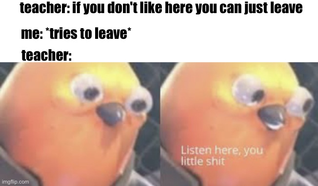 I attempted this | teacher: if you don't like here you can just leave; me: *tries to leave*; teacher: | image tagged in listen here you little shit bird | made w/ Imgflip meme maker