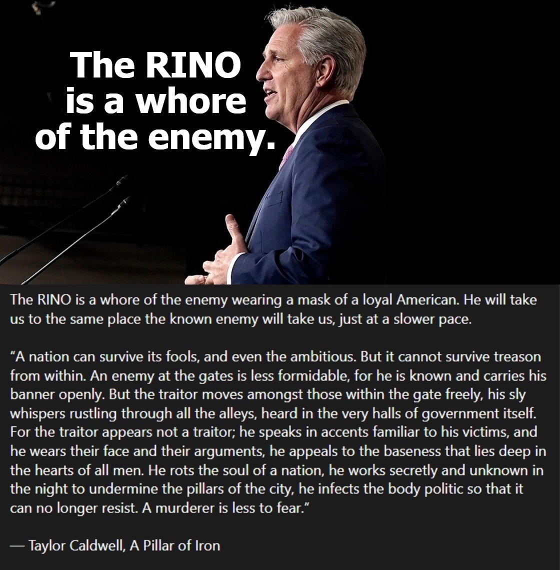 The RINO is a whore of the enemy. | image tagged in rinos,political prostitutes,republican in name only,the gop is dead,uniparty,the enemy within | made w/ Imgflip meme maker