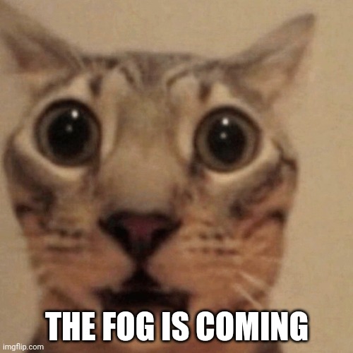 Domestic short-haired cat | THE FOG IS COMING | image tagged in domestic short-haired cat | made w/ Imgflip meme maker