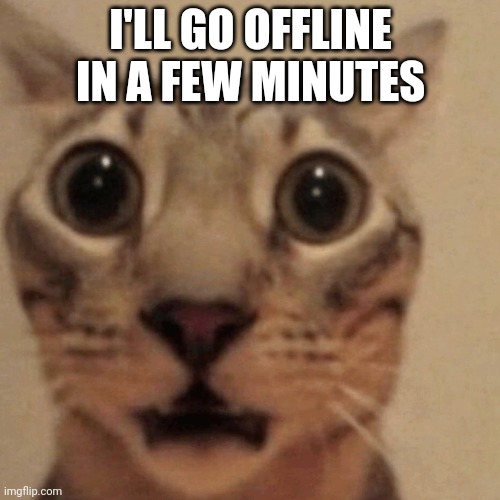 Domestic short-haired cat | I'LL GO OFFLINE IN A FEW MINUTES | image tagged in domestic short-haired cat | made w/ Imgflip meme maker