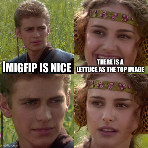 Anakin Padme 4 Panel | İMIGFIP IS NICE; THERE IS A LETTUCE AS THE TOP IMAGE | image tagged in anakin padme 4 panel | made w/ Imgflip meme maker