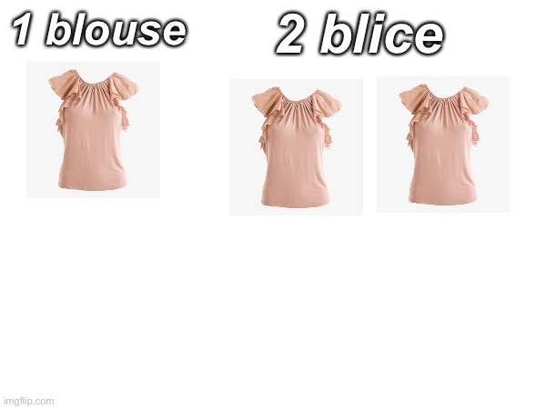 2 blice 1 blouse | made w/ Imgflip meme maker