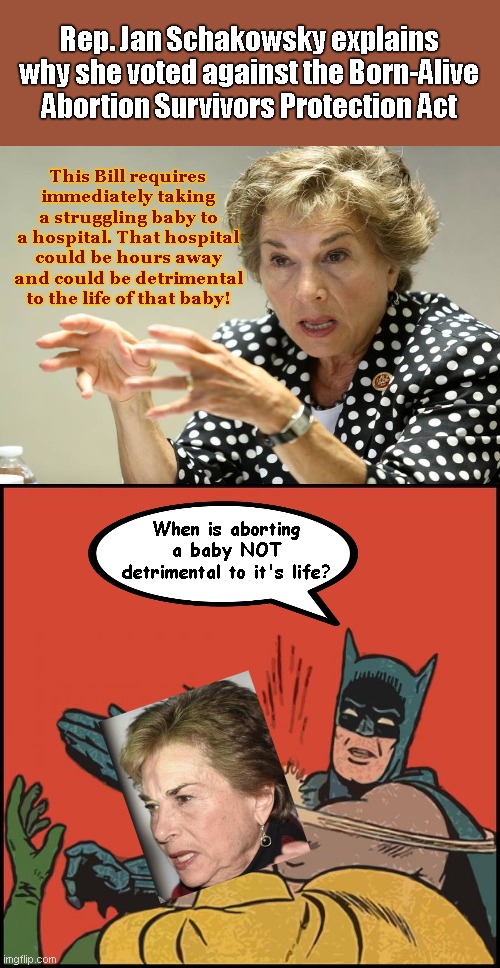 Craziest Liberal excuse yet for not wanting to protect abortion survivors | Rep. Jan Schakowsky explains why she voted against the Born-Alive Abortion Survivors Protection Act; This Bill requires immediately taking a struggling baby to a hospital. That hospital could be hours away and could be detrimental to the life of that baby! When is aborting a baby NOT detrimental to it's life? | image tagged in batman slapping robin no bubbles,rep jan schakowsky,abortion,liberal hypocrisy,abortion zealots,crazy | made w/ Imgflip meme maker