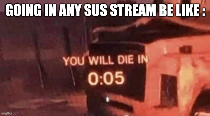 You will die in 0:05 | GOING IN ANY SUS STREAM BE LIKE : | image tagged in you will die in 0 05 | made w/ Imgflip meme maker