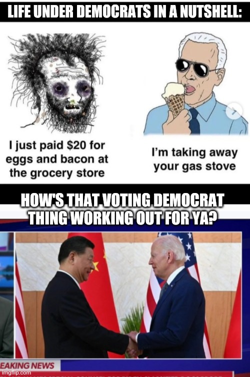 Keep Voting Democrat | LIFE UNDER DEMOCRATS IN A NUTSHELL:; HOW'S THAT VOTING DEMOCRAT THING WORKING OUT FOR YA? | image tagged in libtard,idiots,you're fired | made w/ Imgflip meme maker