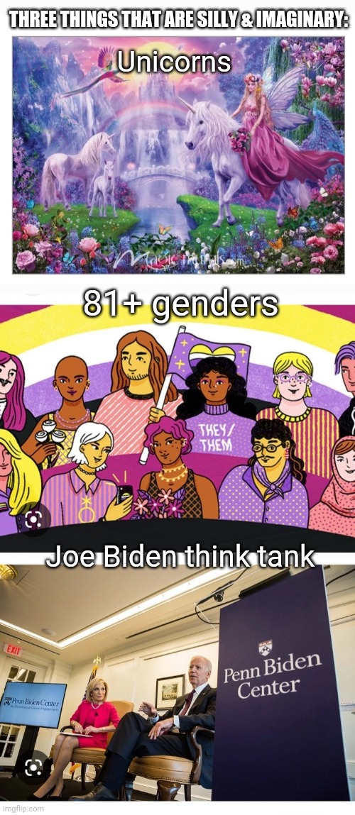 Living In A World Of Pure Imagination | THREE THINGS THAT ARE SILLY & IMAGINARY:; Unicorns; 81+ genders; Joe Biden think tank | image tagged in libtard,dumbass,you're fired | made w/ Imgflip meme maker