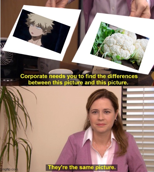 if deku is broccoli then bakugo is cauliflower... | image tagged in memes,they're the same picture | made w/ Imgflip meme maker