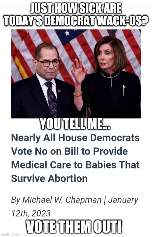 These People are SICK | JUST HOW SICK ARE TODAY'S DEMOCRAT WACK-OS? YOU TELL ME... VOTE THEM OUT! | image tagged in democrats,vote,get out,stupid liberals | made w/ Imgflip meme maker