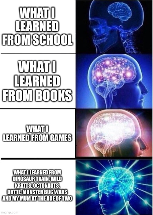 Education | WHAT I LEARNED FROM SCHOOL; WHAT I LEARNED FROM BOOKS; WHAT I LEARNED FROM GAMES; WHAT I LEARNED FROM DINOSAUR TRAIN, WILD KRATTS, OCTONAUTS, DRTTE, MONSTER BUG WARS AND MY MUM AT THE AGE OF TWO | image tagged in memes,expanding brain | made w/ Imgflip meme maker