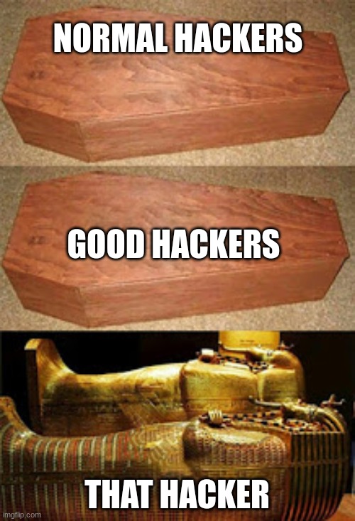 Golden coffin meme | NORMAL HACKERS THAT HACKER GOOD HACKERS | image tagged in golden coffin meme | made w/ Imgflip meme maker