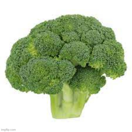 broccoli | image tagged in memes | made w/ Imgflip meme maker