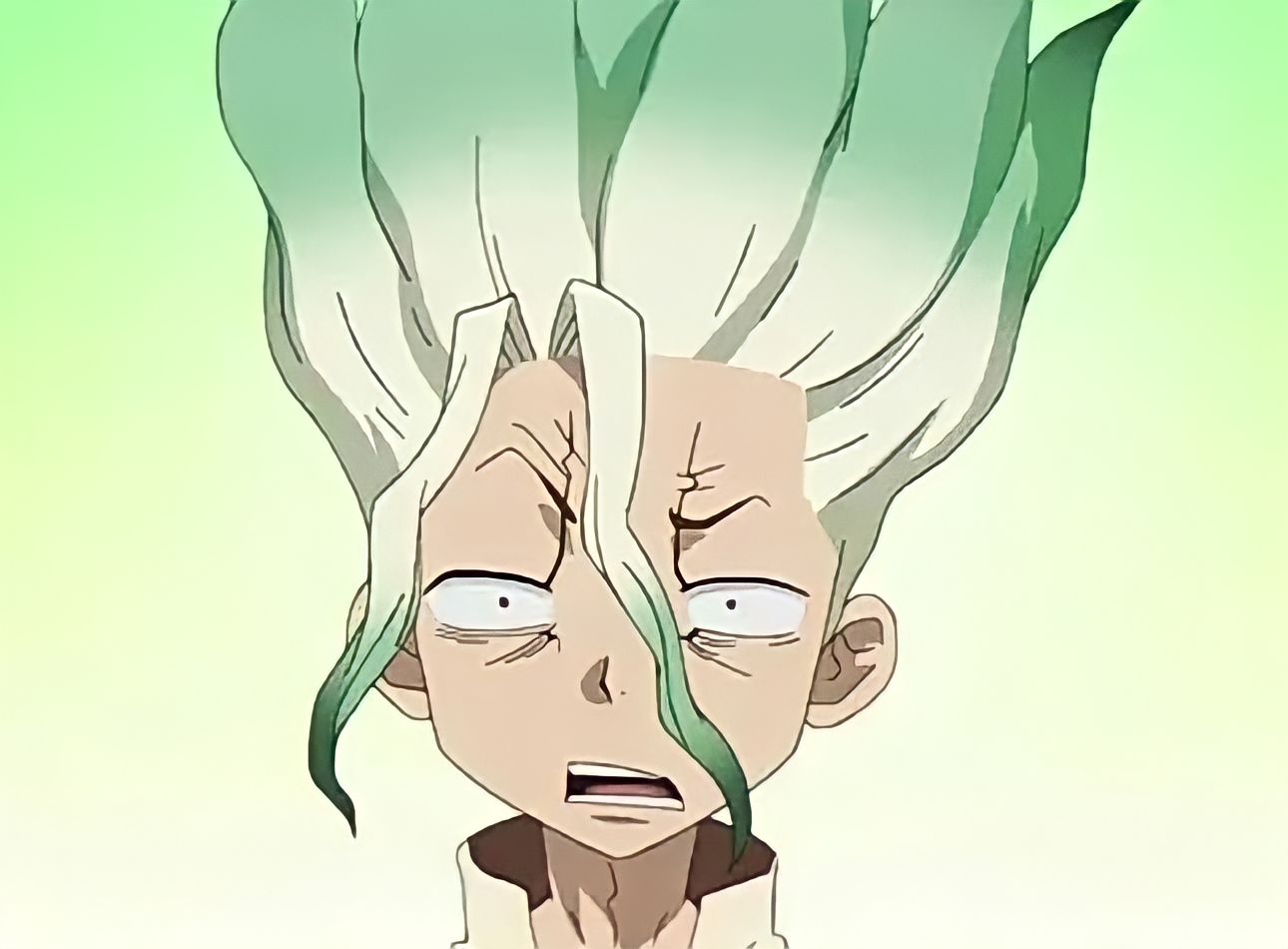 Senku bruh Blank Meme Template