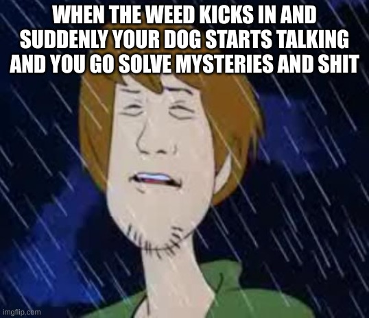 shaggy meme | WHEN THE WEED KICKS IN AND SUDDENLY YOUR DOG STARTS TALKING AND YOU GO SOLVE MYSTERIES AND SHIT | image tagged in shaggy rain,shaggy this isnt weed fred scooby doo | made w/ Imgflip meme maker