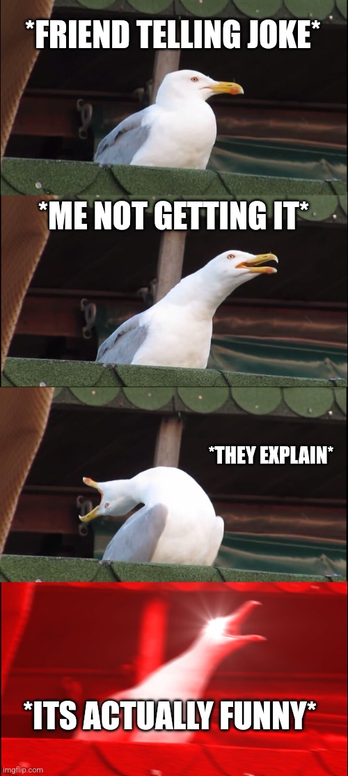 Inhaling Seagull | *FRIEND TELLING JOKE*; *ME NOT GETTING IT*; *THEY EXPLAIN*; *ITS ACTUALLY FUNNY* | image tagged in memes,inhaling seagull | made w/ Imgflip meme maker