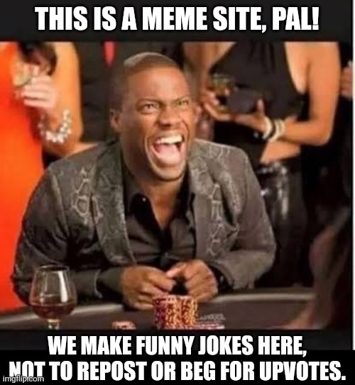 THIS IS A MEME SITE, PAL! WE MAKE FUNNY JOKES HERE, NOT TO REPOST OR BEG FOR UPVOTES. | image tagged in memes,jokes,puns | made w/ Imgflip meme maker