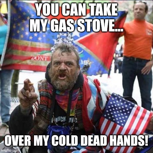 No ma stove | YOU CAN TAKE MY GAS STOVE... OVER MY COLD DEAD HANDS! | image tagged in conservative,republican,democrat,liberal,fox news,trump | made w/ Imgflip meme maker