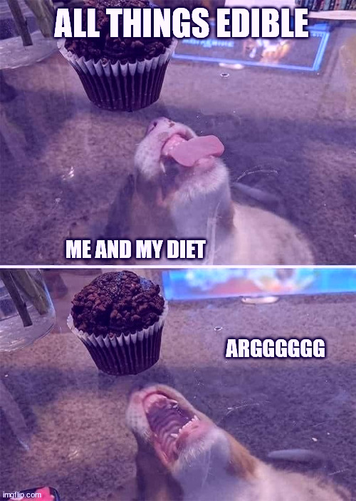 Real diets be like... | ALL THINGS EDIBLE; ME AND MY DIET                                                                                                                                                                                                                  ARGGGGGG | image tagged in cupcake block dog | made w/ Imgflip meme maker