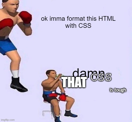 CSS format | ok imma format this HTML
with CSS; damn; CSS; THAT; is tough | image tagged in programming,html,css | made w/ Imgflip meme maker