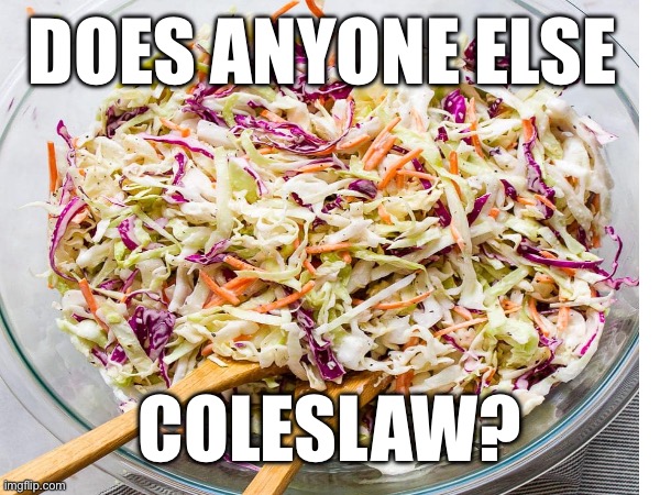 DOES ANYONE ELSE; COLESLAW? | made w/ Imgflip meme maker