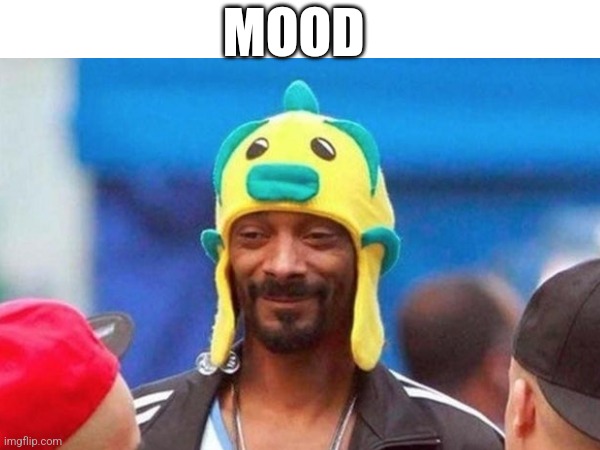 MOOD | MOOD | image tagged in snoop dogg,current mood | made w/ Imgflip meme maker