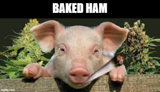 BAKED HAM | made w/ Imgflip meme maker