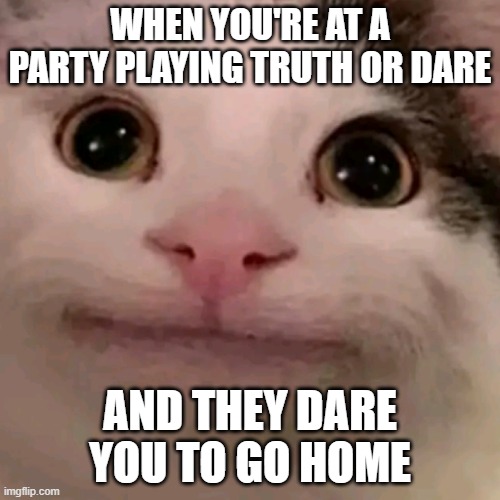 Beluga | WHEN YOU'RE AT A PARTY PLAYING TRUTH OR DARE; AND THEY DARE YOU TO GO HOME | image tagged in beluga | made w/ Imgflip meme maker